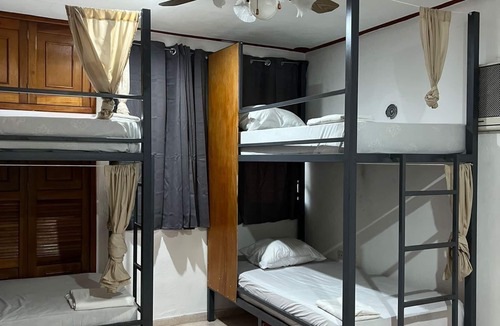 Valladolid Hostel | TREEBU HOSTEL