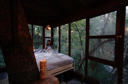 Genka Hotel | Treeful Treehouse Sustainable Resort Okinawa