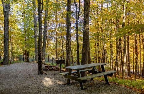 Allegheny Mountains House | Treehouse Cabin in Riverton, WV