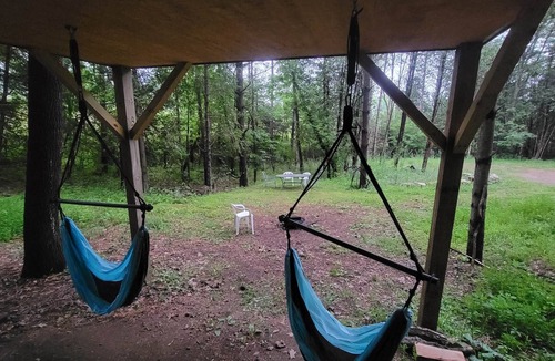 Elba Cabin | Treehouse Cabin in the Bluff Woodlands