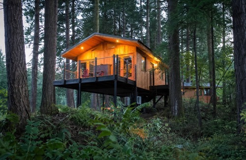 Stevenson Cabin | Treehouse Escape | Luxe Amenities + Tranquil Views