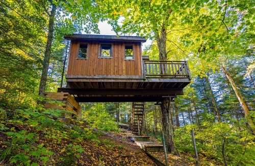 Saint-Faustin-Lac-Carre House | Treehouse, forest and lake, near reception | Lodging #10