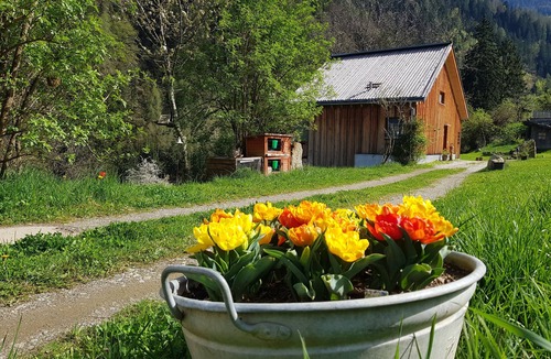 San Pancrazio Ski Chalet | Treehouse "Laugen Lodge" with Swimming Pond, Sauna, 80 km to Olympics 2026