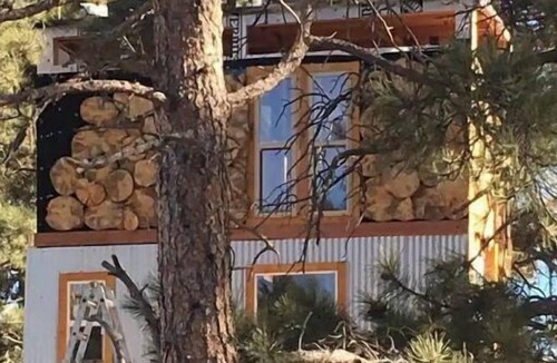 Elizabeth Cabin | Treehouse Magic at Houses High Treesort