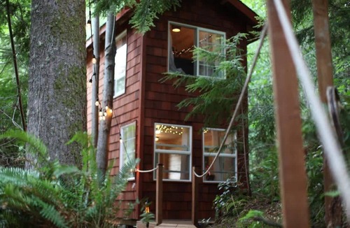 Snohomish Cabin | Treehouse Place at Deer Ridge Featured top 10 USA