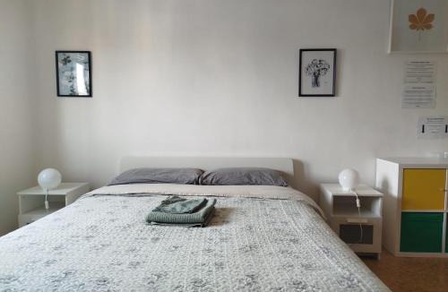 Pisa City Centre House | Treehouse - Spacious Private Rooms in Central Pisa Near Station & Airport