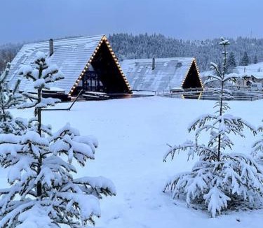 Palanca House | Treeline Cabins