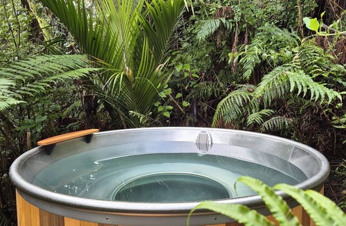 Punakaiki House | Treescapes