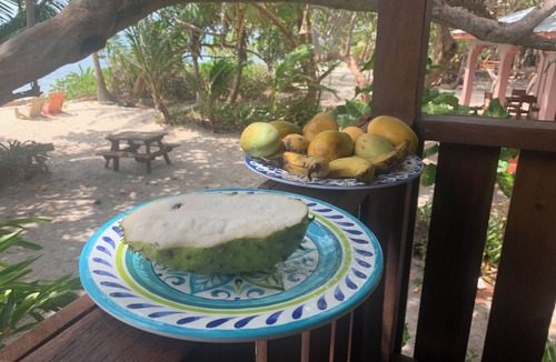Placencia Cabin | Treetop Beachfront Cabana