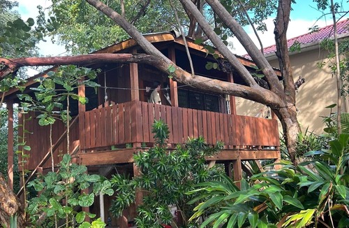 Placencia Cabin | Treetop Beachfront Cabana