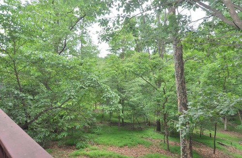 The Woods House | Treetop Cabin