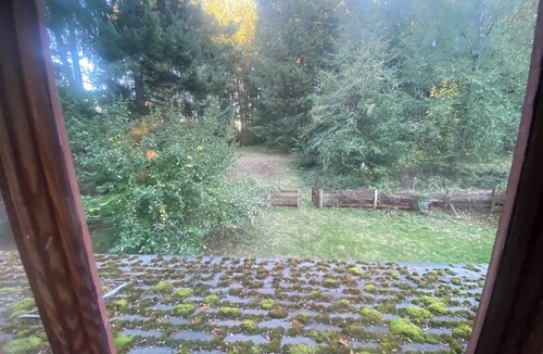 Yelm House | Tremendous 3-bedroom bungalow in welcoming Yelm perfect for a rustic getaway