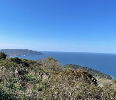 Laureana Cilento Bed & Breakfast | Tresino Rooms