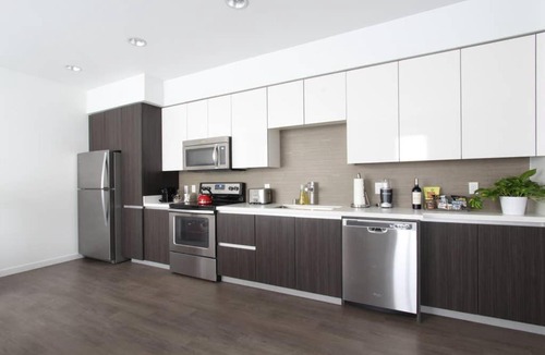 North San Jose Apartment | TRIBE Clean, Modern & New 1BR in North San Jose