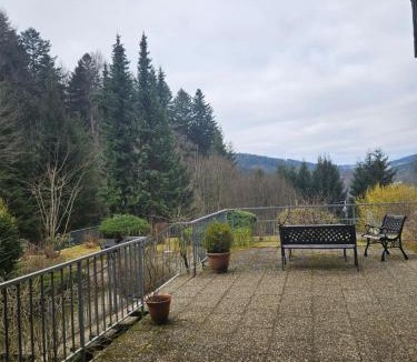 Triberg im Schwarzwald Apartment | Triberg Falls Hideaway - Apartment 35