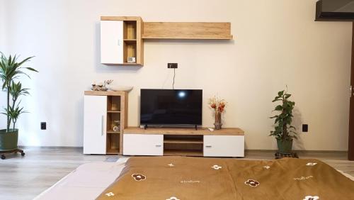 Baia Mare Apartment | Trinity Apartment