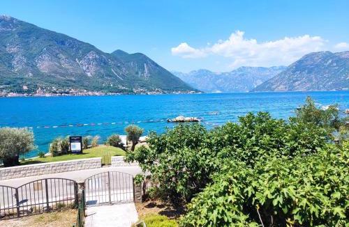 Dobrota Apartment | Trinity Apartment Seafront