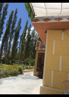 Leh House | Trinity Home Stay