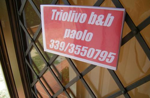 Guamo Bed & Breakfast | Triolivo B&B