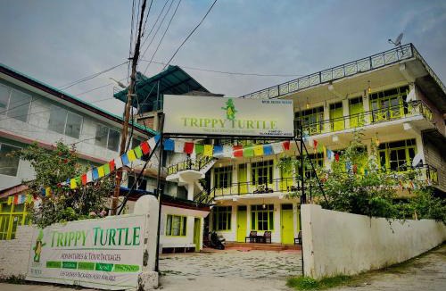 New Manali Hostel | Trippy Turtle Hostel