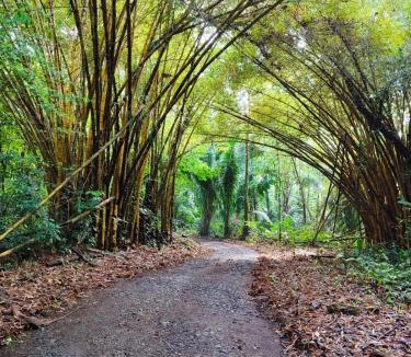Chachagua Ski Chalet | Tropical Forest Adventure Near Arenal Volcano