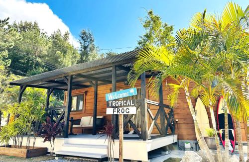Nakama House | Tropical Frog