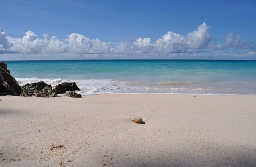 Silver Sands Apartment | Tropical Gecko Studio - Sweet Jewel Apartments
