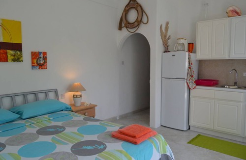 Silver Sands Hotel | Tropical Gecko Studio