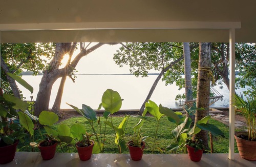 Munroe Island Cottage | Tropical Haven - 1BR Lakefront AC Cottage with lake access & hammock