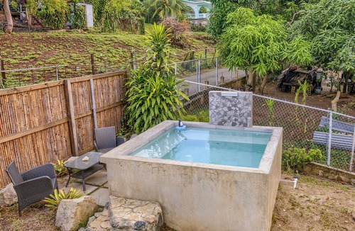 Bravos de Boston Apartment | Tropical Studio with Private Pool & Balcony