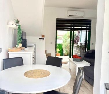 Maspalomas House | TROPICAL SUN AND palm
