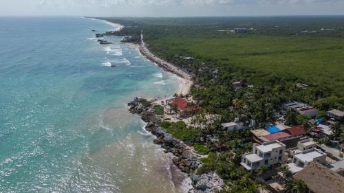 Zona Hotelera Hotel | Tropicalito Tulum