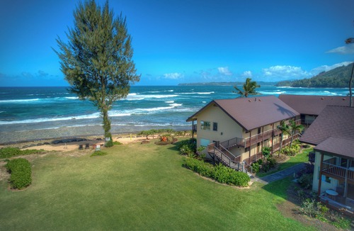 Wainiha Condo | True Beachfront Romance in Quiet Intimate Location - Perfect for Honeymoons!