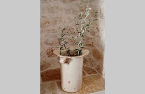 Villa Castelli Villa | Trulli Monteforte
