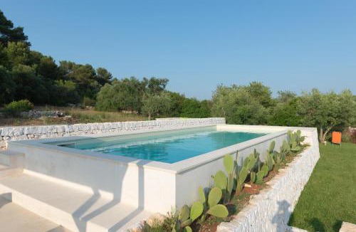 Old Town Cisternino House | Trullo Antico Pool