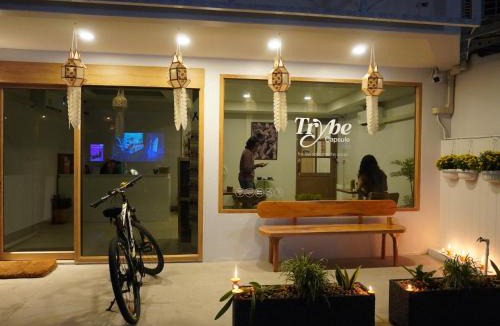 Thapae Hostel | Trybe Capsule Hostel Chiang Mai