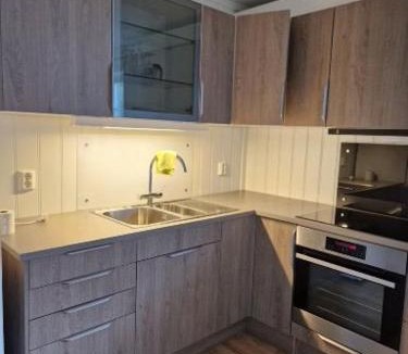 Innbygda Apartment | Trysil sentrum leilighet