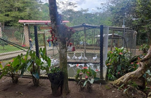 Darien House | Tu Escapada Ideal con Río Privado