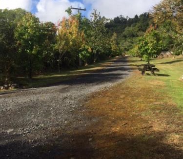 Raurimu Cabin | Tui Glen