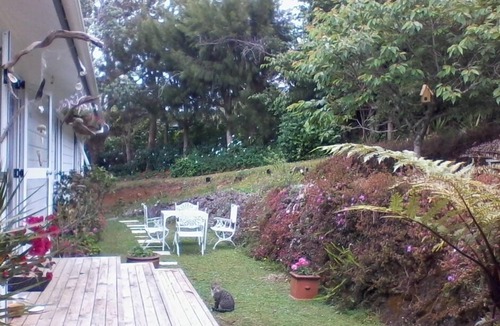 Kerikeri House | TUIS NEST- Private, yet central by river & Historical sites .8 nights stay min