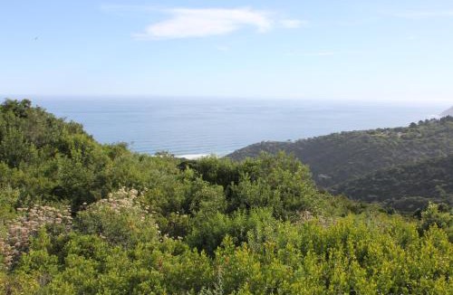 Wilderness House | TURACO HOUSE