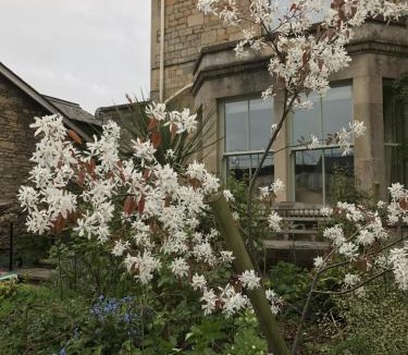 Redlynch Bed & Breakfast | Turks Hall