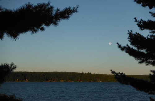 Forest CIty Cottage | Turn Of The Century Cabin On Private Island