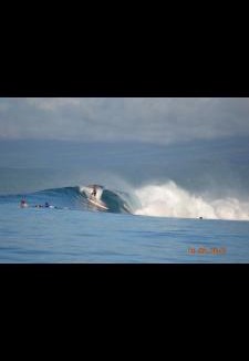 Sigatoka Apartment | Turtle Campervans Fiji