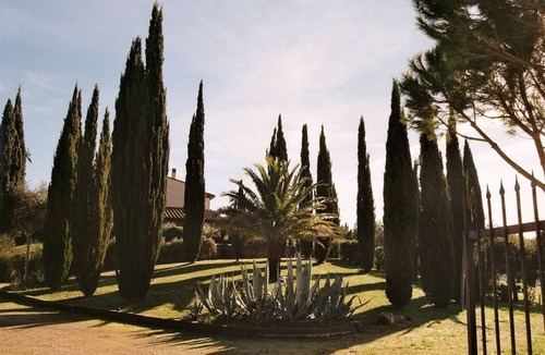 Grilli Apartment | Tuscan dream in a hilly location close to the sea - Giuncarico apartment