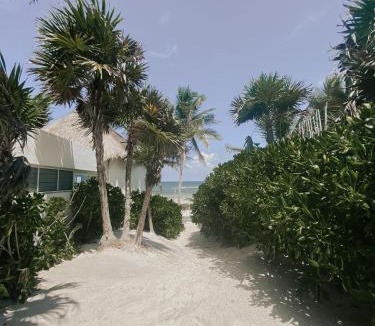 Zona Hotelera Hotel | Tuup Tulum
