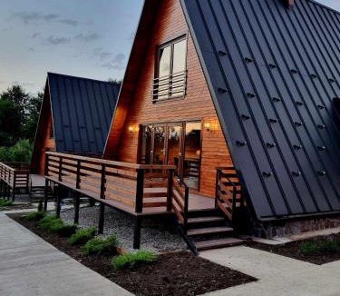 Partestii de Jos House | Twin Cabins/Cabanele Gemene