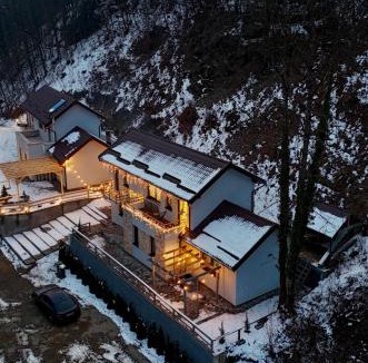 Valiug Villa | Twin Villa