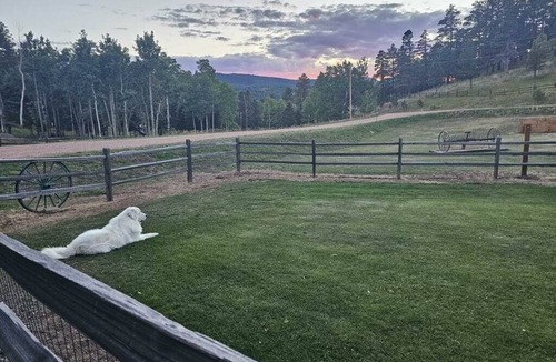 Custer County Cabin | Two Bears Cabin: Secluded Mountain Retreat near Lake Isabel.