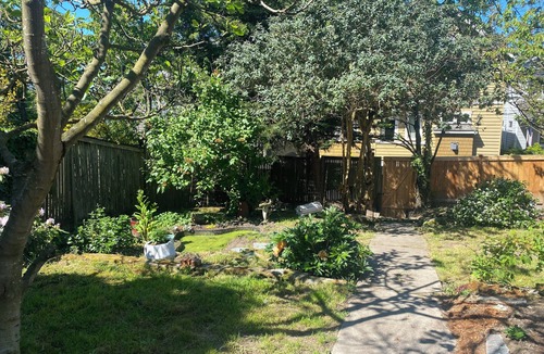Atlantic Apartment | Two Dog Cafe Studio Retreat – Transit-Friendly Stay Near Seattle Stadiums